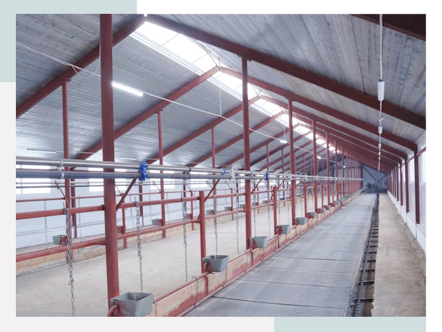 Строительство коровников в Озёрске от 609 руб.