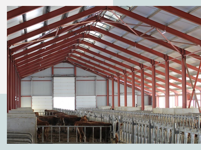 Строительство коровников в Озёрске