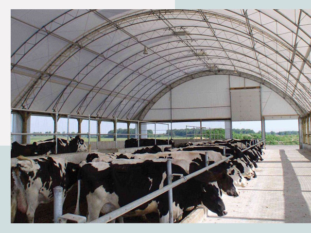 Тентовые коровники в Озёрске